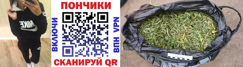 Купить закладки  Новокубанск  МАРИХУАНА ГИДРОПОН 